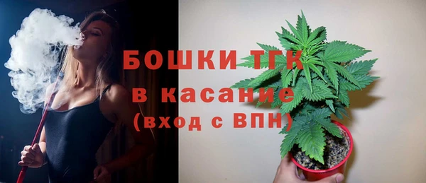 амф Аркадак