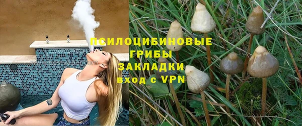 амф Аркадак