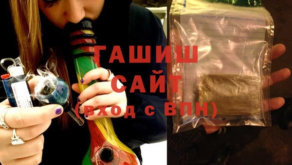ECSTASY Ельня
