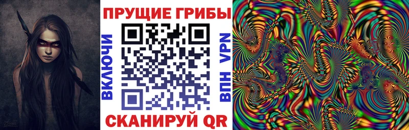 Галлюциногенные грибы прущие грибы  Пошехонье 