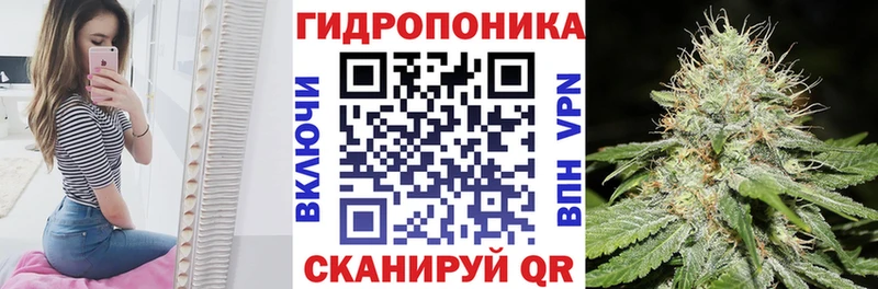 Бошки марихуана сатива  Пошехонье 